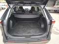 Toyota RAV 4 RAV4 2.5 Hybrid Active Drive AWD Grau - thumbnail 16