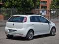 Fiat Punto Punto Evo III 5p 1.3 mjt II 16v Sport s Bianco - thumbnail 4