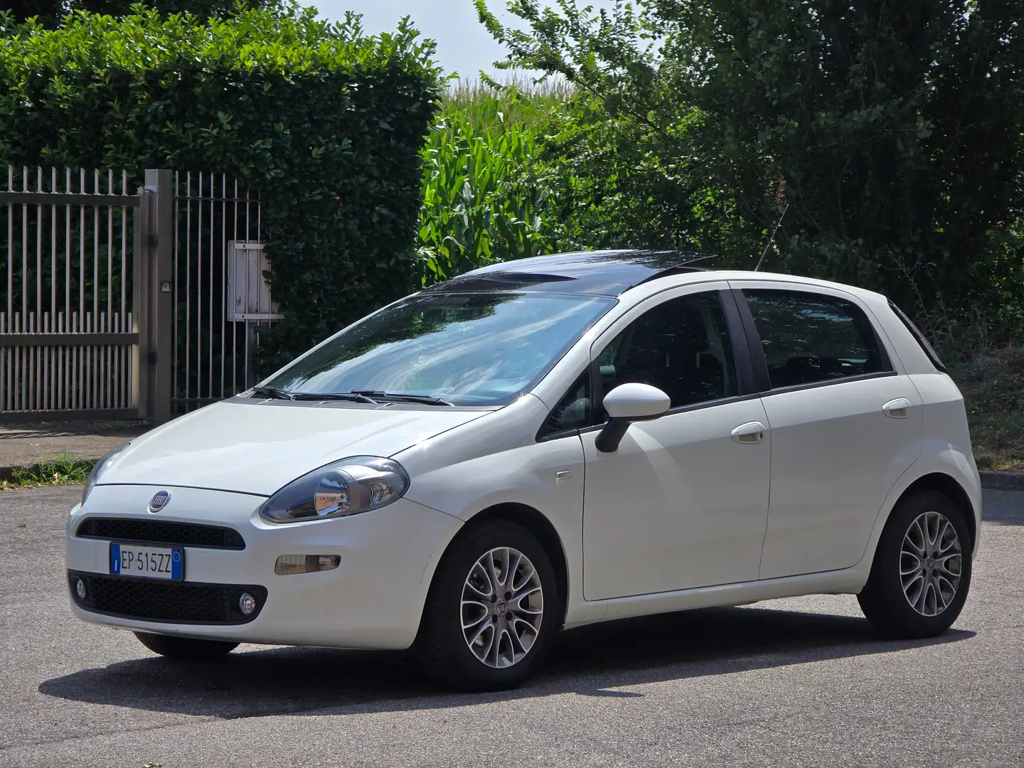 Fiat Punto Punto Evo III 5p 1.3 mjt II 16v Sport s Bianco - 2