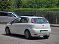 Fiat Punto Punto Evo III 5p 1.3 mjt II 16v Sport s Bianco - thumbnail 5