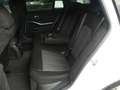 BMW 330 i xDrive Tour°M Sportpaket AHK°ACC°360°-HIFI Blanco - thumbnail 10