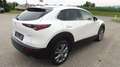 Mazda CX-30 G122 Comfort+ Aut. Weiß - thumbnail 3