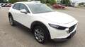 Mazda CX-30 G122 Comfort+ Aut. Weiß - thumbnail 2