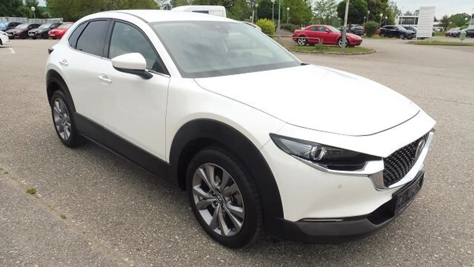 Mazda CX-30 G122 Comfort+ Aut. Weiß - 2