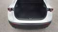 Mazda CX-30 G122 Comfort+ Aut. Weiß - thumbnail 14