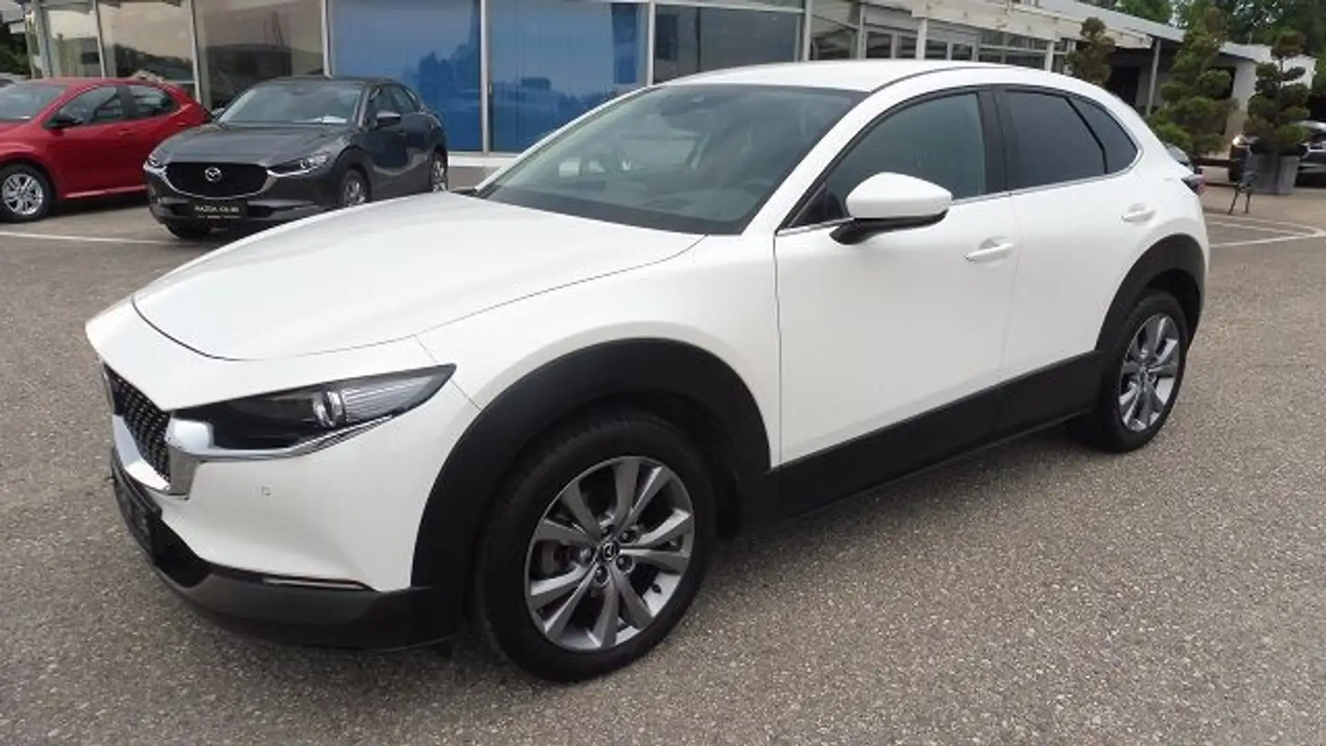 Mazda CX-30 G122 Comfort+ Aut. Weiß - 1