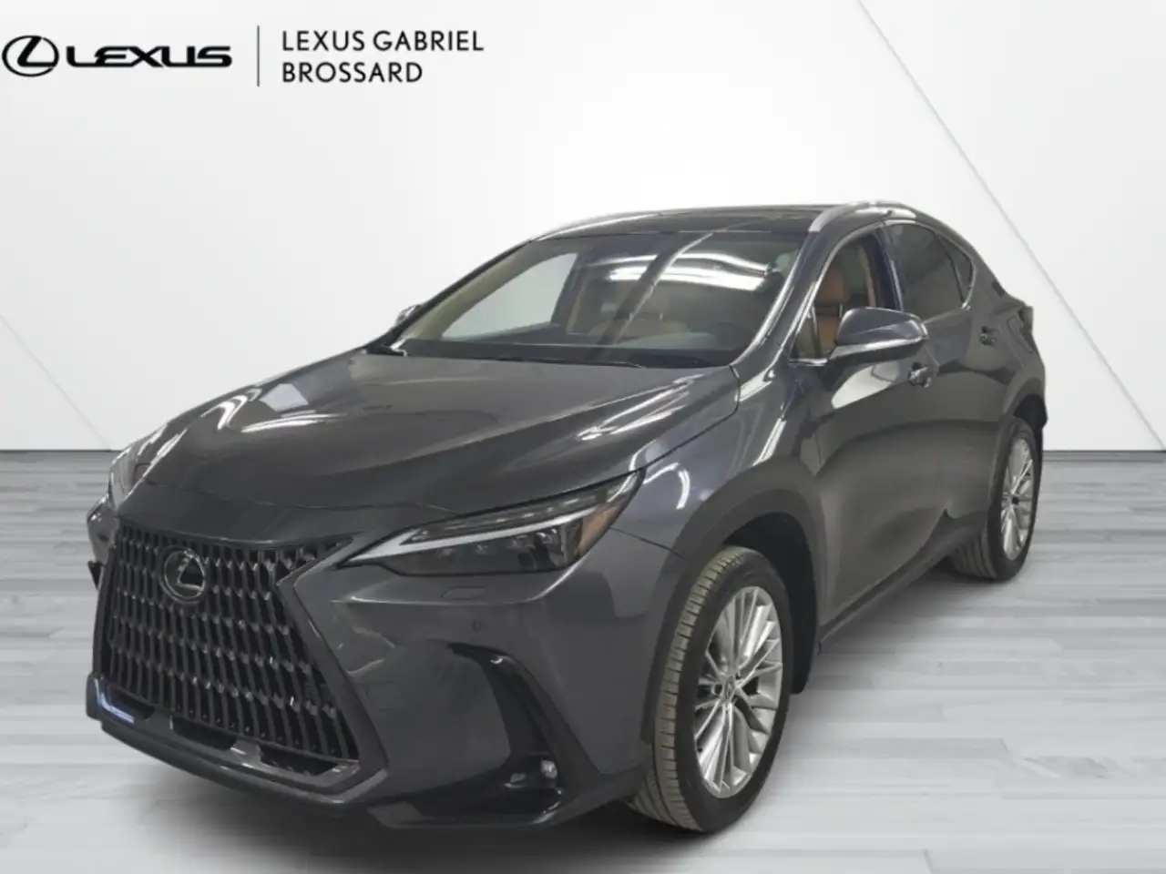2024 Lexus NX снимка 2024 Lexus NX