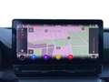 CUPRA Formentor 1.5 TSI DSG Navi Parklenkassistent Negro - thumbnail 16