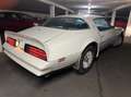 Pontiac Trans Am Firebird Trans Am 6.6 400cui V8 H-Zulassung Weiß - thumbnail 7