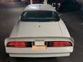Pontiac Trans Am Firebird Trans Am 6.6 400cui V8 H-Zulassung Weiß - thumbnail 6