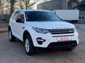 Land Rover Discovery Sport *PANO*NAVI*BI-XENON*SHZ*KLIMA* Weiß - thumbnail 3