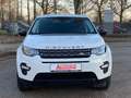 Land Rover Discovery Sport *PANO*NAVI*BI-XENON*SHZ*KLIMA* Weiß - thumbnail 12