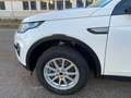 Land Rover Discovery Sport *PANO*NAVI*BI-XENON*SHZ*KLIMA* Weiß - thumbnail 14