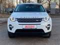 Land Rover Discovery Sport *PANO*NAVI*BI-XENON*SHZ*KLIMA* Weiß - thumbnail 37