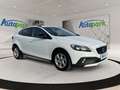 Volvo V40 Cross Country D2 Momentum Weiß - thumbnail 3