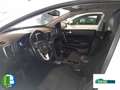 Kia Sportage 1.6MHEV DRIVE PLUS 115CV 4X2 Blanc - thumbnail 11