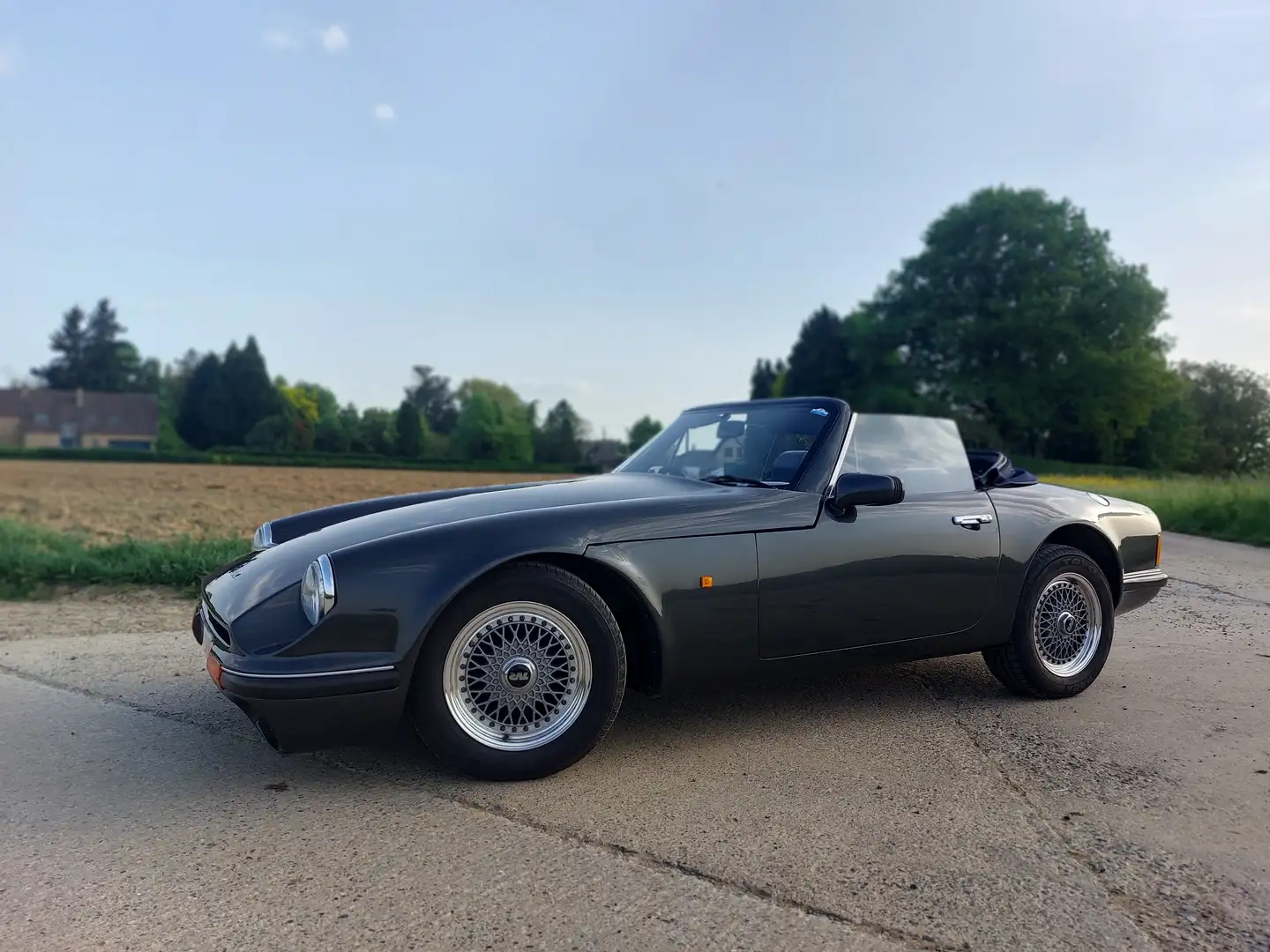 TVR S3 Grau - 2