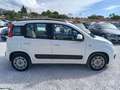 Fiat Panda 1.2 69 Easy 5p Blanco - thumbnail 7
