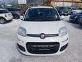 Fiat Panda 1.2 69 Easy 5p Blanco - thumbnail 6