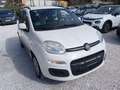 Fiat Panda 1.2 69 Easy 5p Blanco - thumbnail 5