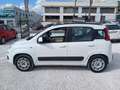 Fiat Panda 1.2 69 Easy 5p Blanco - thumbnail 11