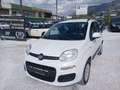 Fiat Panda 1.2 69 Easy 5p Blanco - thumbnail 1