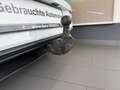Volkswagen Golf 1.0 TSI OPF Life KAM+ACC+AHK+NAVI+KOMF+SPUR Weiß - thumbnail 15