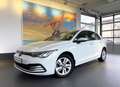 Volkswagen Golf 1.0 TSI OPF Life KAM+ACC+AHK+NAVI+KOMF+SPUR Weiß - thumbnail 1