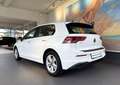Volkswagen Golf 1.0 TSI OPF Life KAM+ACC+AHK+NAVI+KOMF+SPUR Weiß - thumbnail 7