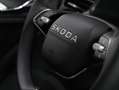 Skoda Kamiq Selection TSI Grau - thumbnail 17
