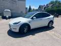 Tesla Model Y Model Y Long Range AWD 79kWh Weiß - thumbnail 1