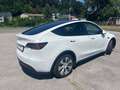 Tesla Model Y Model Y Long Range AWD 79kWh Weiß - thumbnail 2