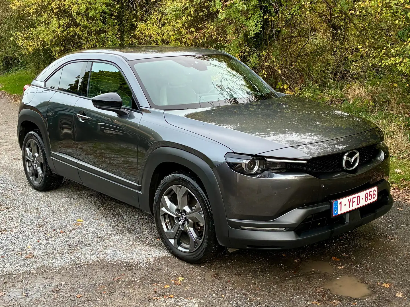 Mazda MX-30 MX-30 35.5 kWh e-SKYACTIV Skycruise Zilver - 1