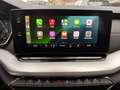 Skoda Octavia Style*Voll LED*Memory*Regensensor*Totwinkelassist Schwarz - thumbnail 15