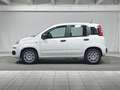 Fiat Panda 1.0 FireFly S&S Hybrid 5 Posti White - thumbnail 2