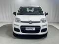 Fiat Panda 1.0 FireFly S&S Hybrid 5 Posti White - thumbnail 8