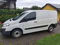 Citroen Jumpy Jumpy Kombi Van L1 1,6 HDi Standard Standard Weiß - thumbnail 1
