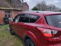Ford Kuga 1.5 EcoBoost ECO FWD Business Cl. (EU6.2 Rood - thumbnail 2