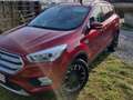 Ford Kuga 1.5 EcoBoost ECO FWD Business Cl. (EU6.2 Rouge - thumbnail 1