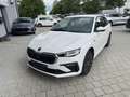 Skoda Scala 1.0 TSI DRIVE *TOP-Ausstattung* MATRIX Blanc - thumbnail 3