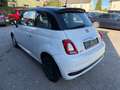 Fiat 500 FireFly Hybrid 70 Google Weiß - thumbnail 3