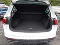 Volkswagen Tiguan 2.0 TDI 150CV DSG Life Carplay, Vetri osc, Ambient Bianco - thumbnail 10