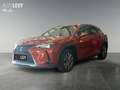 Lexus UX 300e Executive +Pano+CarPlay+Kamera+Leder+ Oranje - thumbnail 2