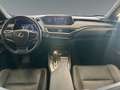Lexus UX 300e Executive +Pano+CarPlay+Kamera+Leder+ Orange - thumbnail 11