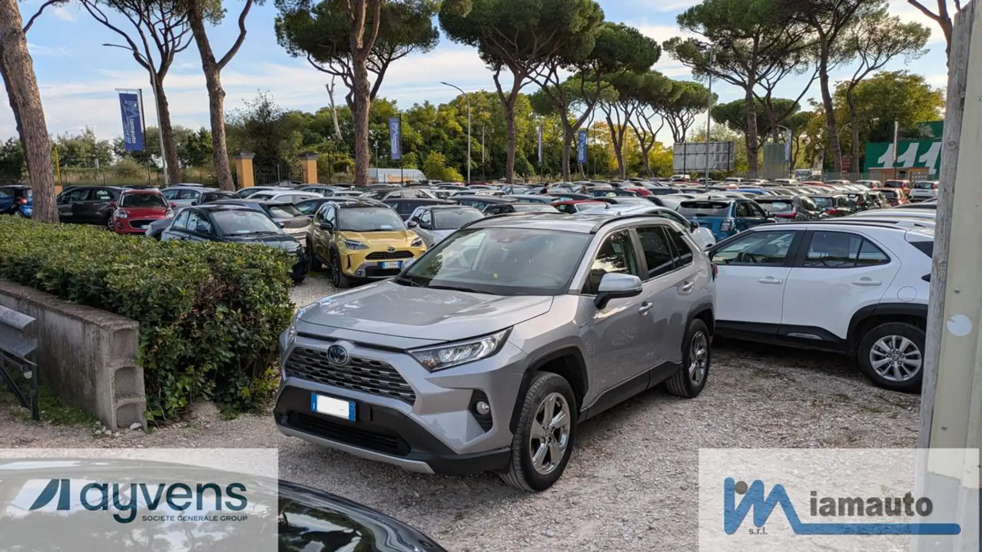 Toyota RAV 4 HYBRID DYNAMIC AWD-i 2.5cc E-CVT 222cv(178cv) Grigio - 1