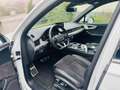 Audi Q7 50 TDI S-Line quattro Matrix LED DAB AHK Weiß - thumbnail 21