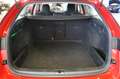 Skoda Octavia 2.0 TDI EVO SCR 150 CV DSG Wagon Ambition Rot - thumbnail 23