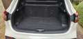 Nissan Qashqai 1.5dCi Tekna 4x2 85kW Blanco - thumbnail 11