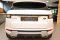 Land Rover Range Rover Evoque 2.0TD4 HSE DYNAMIC 150CV AUT.9m NAVI PELLE CAMFULL Blanc - thumbnail 6