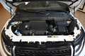 Land Rover Range Rover Evoque 2.0TD4 HSE DYNAMIC 150CV AUT.9m NAVI PELLE CAMFULL Blanc - thumbnail 13